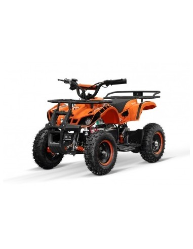 ECO Torino 1000w 36v R6 3 etapas luz