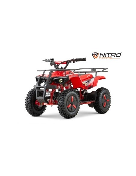 ECO DUSTY Snowy-Profile L Sport 1000w 36v R6 3 etapas