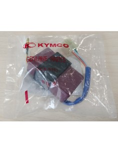 RELÉ PIÑA  INTERMITENTES 2