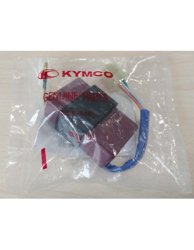 RELÉ PIÑA  INTERMITENTES