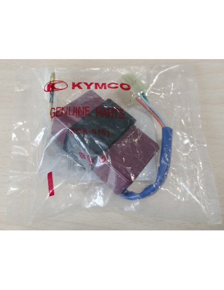 RELÉ PIÑA  INTERMITENTES