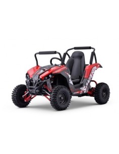 Eco Gokart Savana 1200w  48V VX2 PRM6 UTV 2