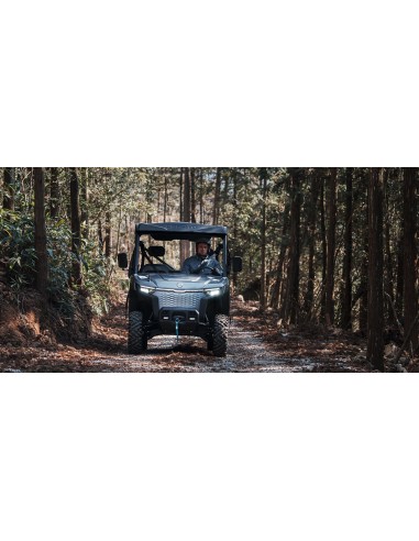 U6 EV ELECTRICO cuadriciclo