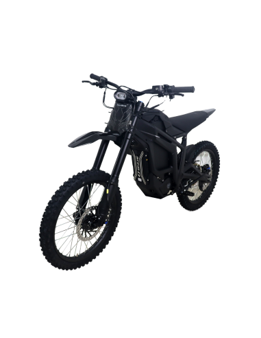 Talaria STING PRO TL5500 L1e