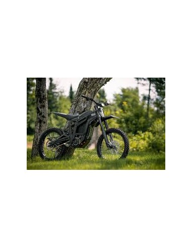 Talaria STING R TL4000 L3e