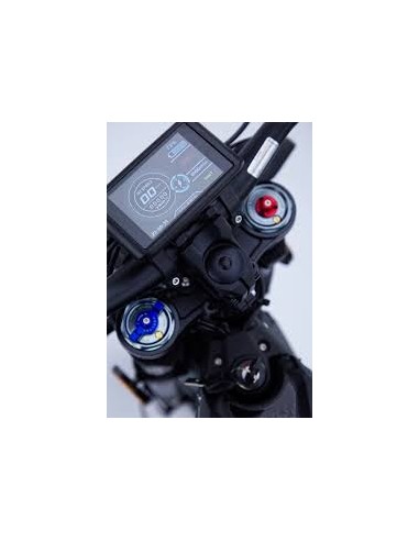 Talaria STING R TL4000 L3e