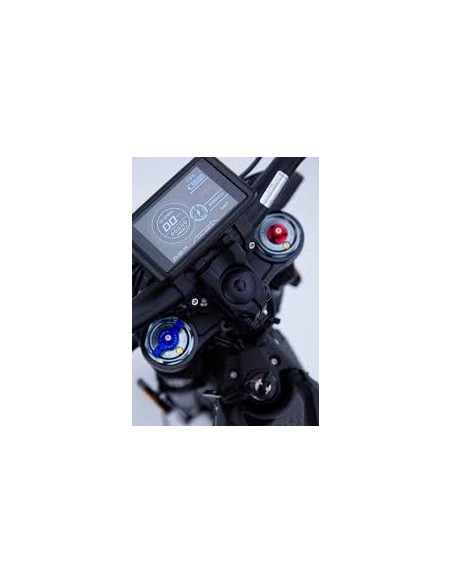 Talaria STING R TL4000 L3e