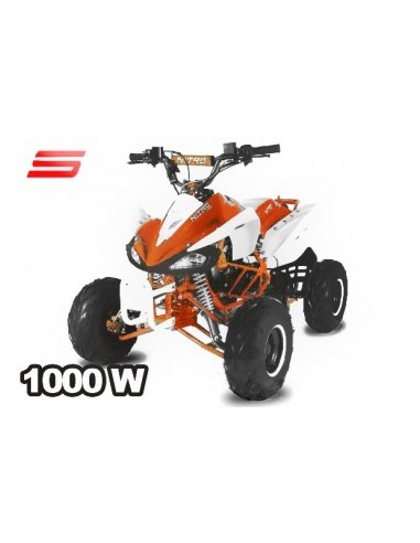 ECO SPEEDY S8 1000W 48V R8