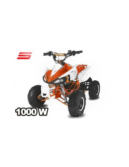 ECO SPEEDY S8 1000W 48V R8