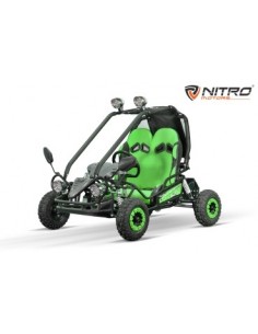 Eco buggy Hunt 650w 36v R6 2 etapas 2