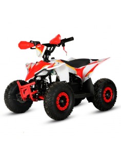 MINIQUAD ELÉCTRICO 1000W IMR ADVENTURE MAX