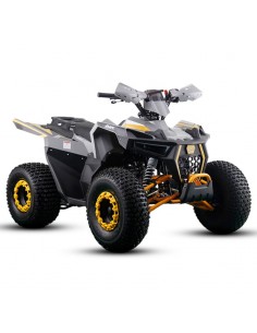 MINIQUAD IMR RAPTOR 125CC 4T SEMI-AUTOMATICO