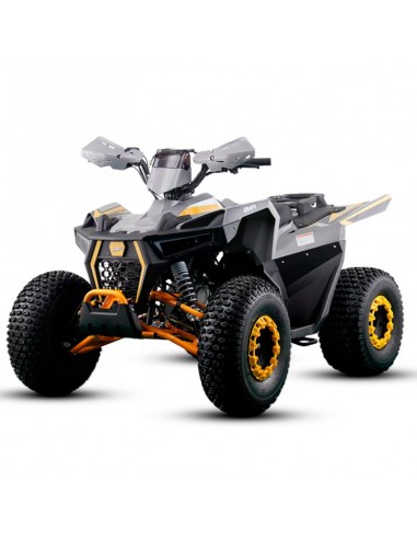 MINIQUAD IMR RAPTOR 125CC 4T SEMI-AUTOMATICO