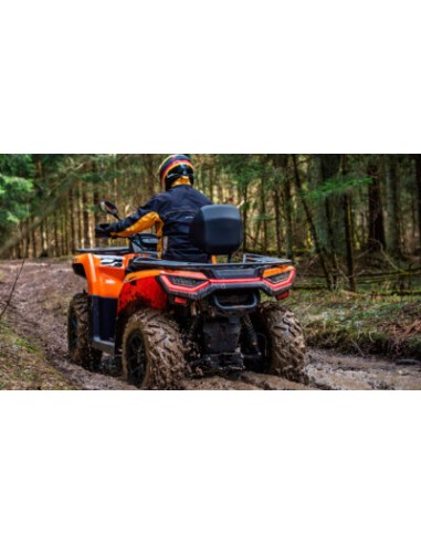 ATV ODES 525L 4X4 EPS