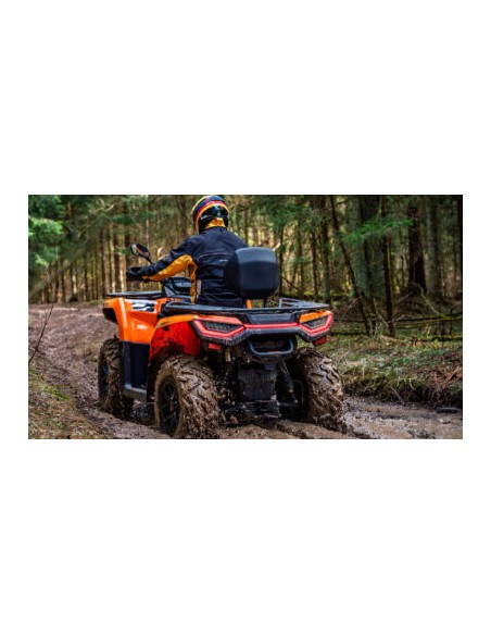 ATV ODES 525L 4X4 EPS