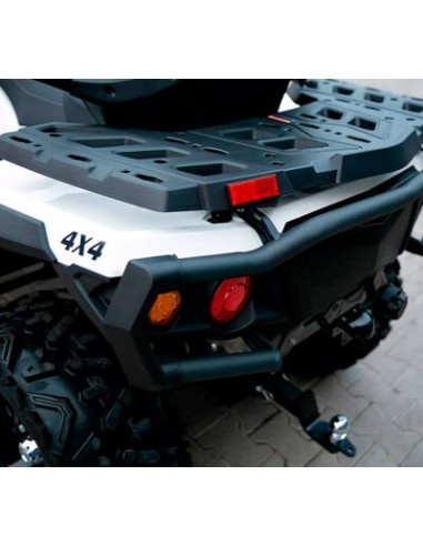 ATV ODES PATHCROSS MAX 650L 4X4 EPS BASIC