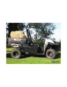 UTV LIGIER BETRUCK 300 2