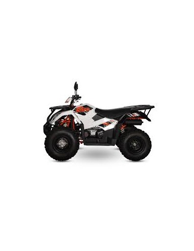 ATV KAYO 300