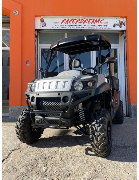 UTV LIGIER BETRUCK 300