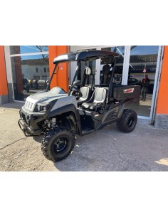 UTV LIGIER BETRUCK 300 2