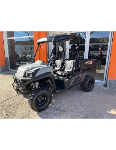 UTV LIGIER BETRUCK 300