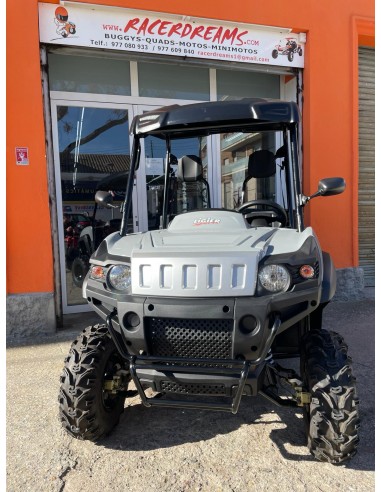 UTV LIGIER BETRUCK 300