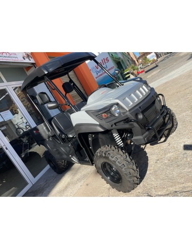 UTV LIGIER BETRUCK 300