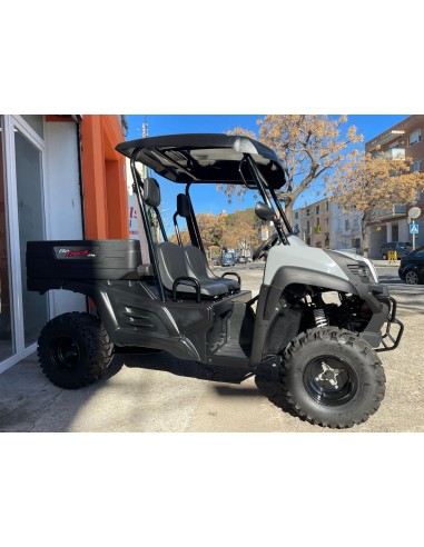 UTV LIGIER BETRUCK 300