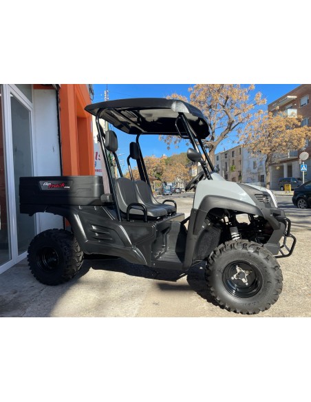 UTV LIGIER BETRUCK 300