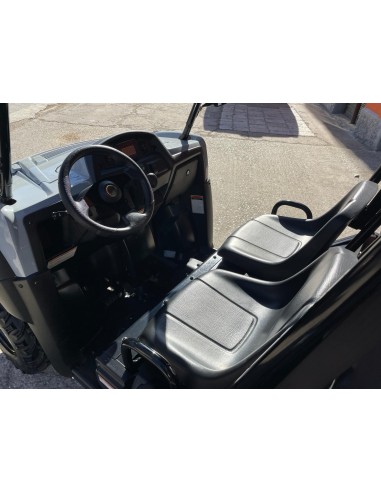 UTV LIGIER BETRUCK 300