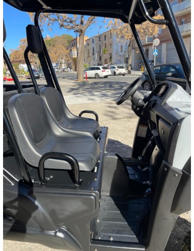 UTV LIGIER BETRUCK 300