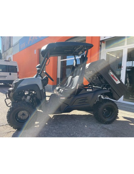 UTV LIGIER BETRUCK 300