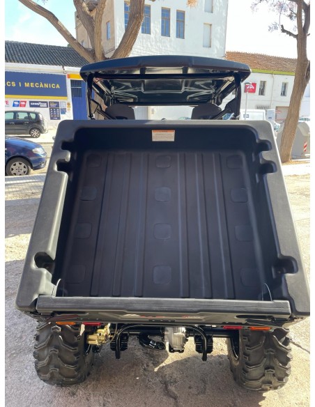 UTV LIGIER BETRUCK 300