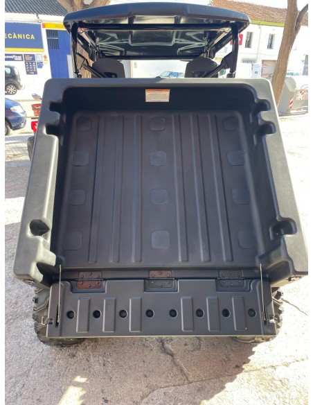 UTV LIGIER BETRUCK 300