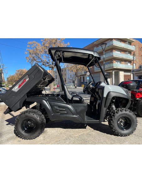 UTV LIGIER BETRUCK 300