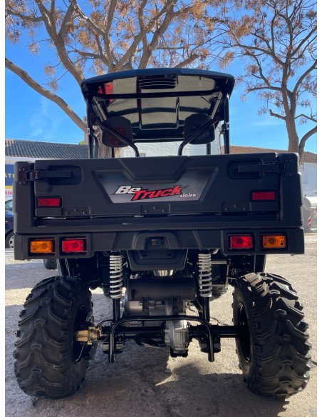 UTV LIGIER BETRUCK 300