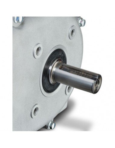 Motor completo GX6.5