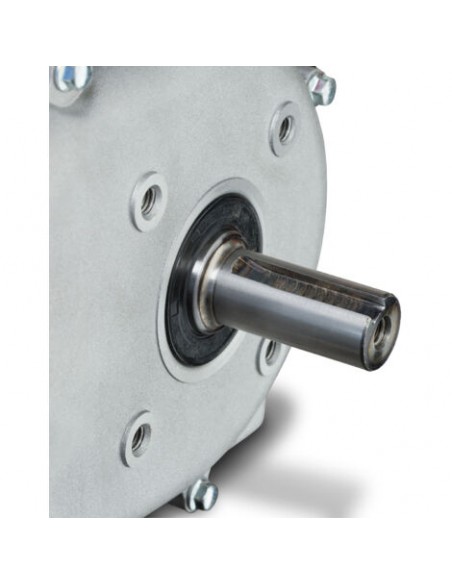 Motor completo GX6.5