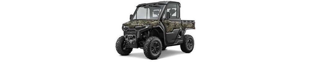 Buggy/ UTV (matriculables)