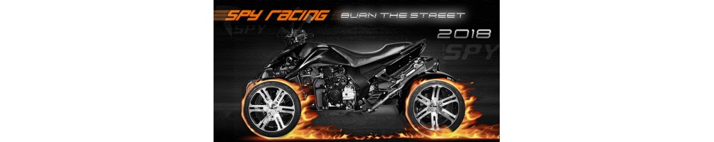 ATV QUAD 250CC CEE EURO 4