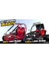 BUGGY/ UTV/ KART